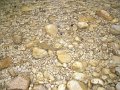Castel-di-sangro--f-sangro--38